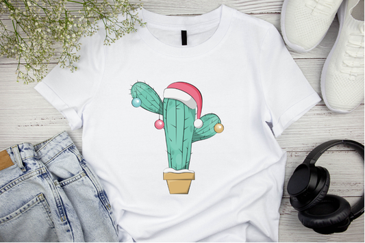 Cactus with hat